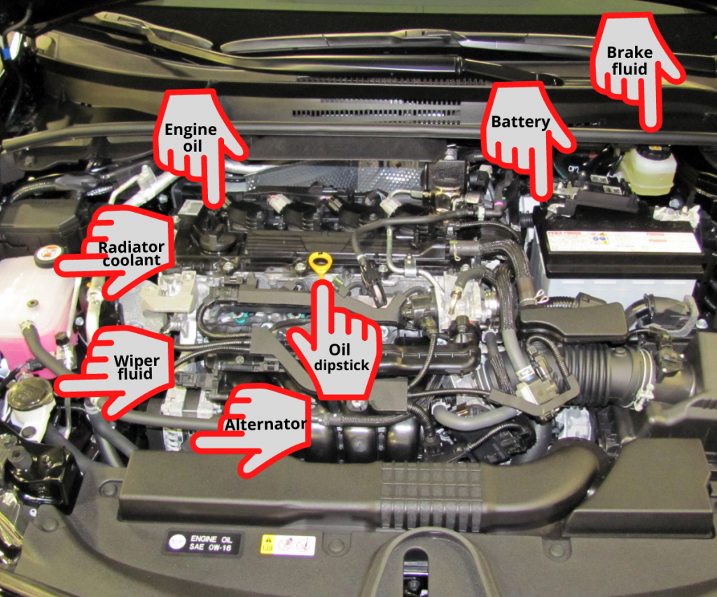 What's under the hood of your car?
